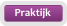 Praktijk