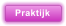 Praktijk