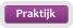 Praktijk