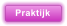 Praktijk