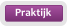 Praktijk