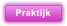 Praktijk