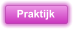 Praktijk